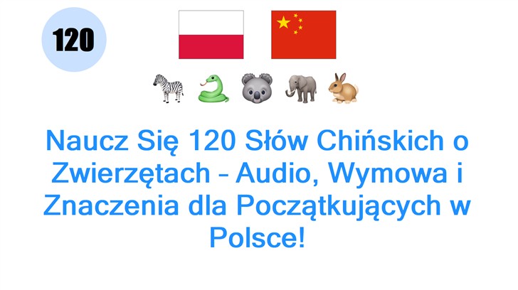 Naucz Się 120 Słów Chińskich o Zwierzętach – Audio, Wymowa i Znaczenia dla Początkujących w Polsce!